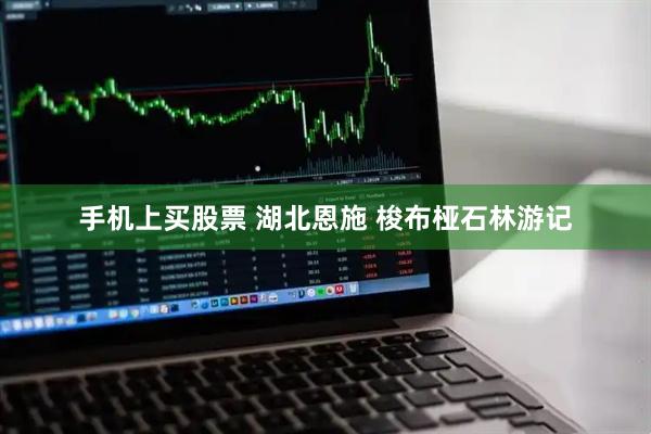 手机上买股票 湖北恩施 梭布桠石林游记